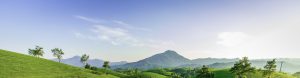 header-hero-1-300x78.jpg