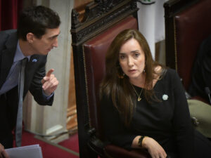 SenadoSesión Victoria VillarruelFoto Federico Lopez Claro